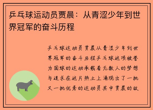 乒乓球运动员贾晨：从青涩少年到世界冠军的奋斗历程
